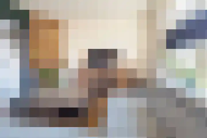 Kanunnik de Vriesstraat 81 Ulft thumbnail 13