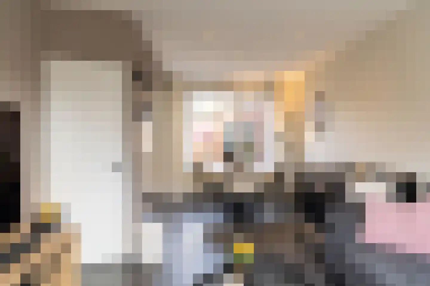 Kanunnik de Vriesstraat 85 Ulft thumbnail 16