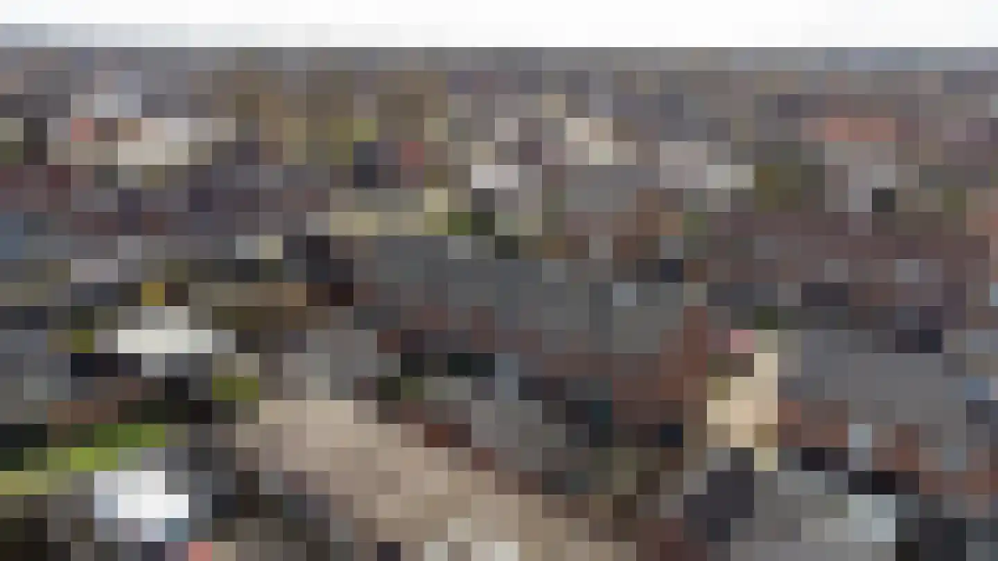 Kanunnik de Vriesstraat 85 Ulft thumbnail 35