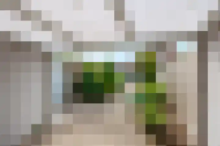 Kanunnik Geurtsstraat 13 Siebengewald thumbnail 27