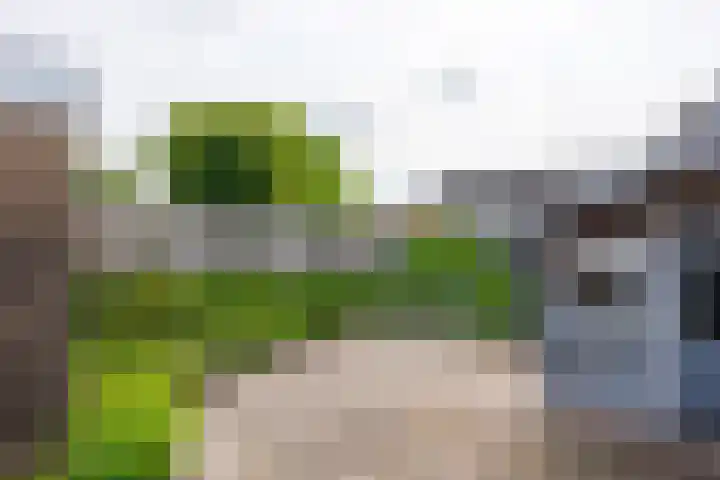 Kanunnik Geurtsstraat 13 Siebengewald thumbnail 31