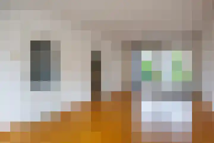 Kanunnik Geurtsstraat 13 Siebengewald thumbnail 8