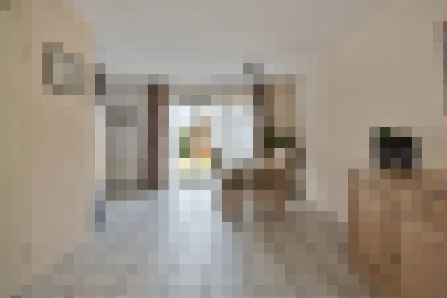 Kanunnik Geurtsstraat 4 Siebengewald thumbnail 5