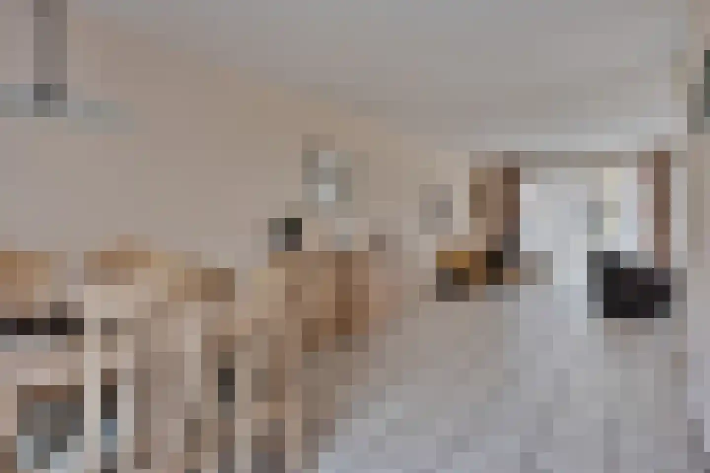 Kanunnik Geurtsstraat 4 Siebengewald thumbnail 6