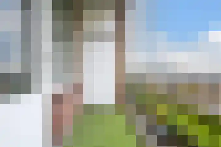 Kanunnik Mijllinckstraat 12 Nijmegen thumbnail 18