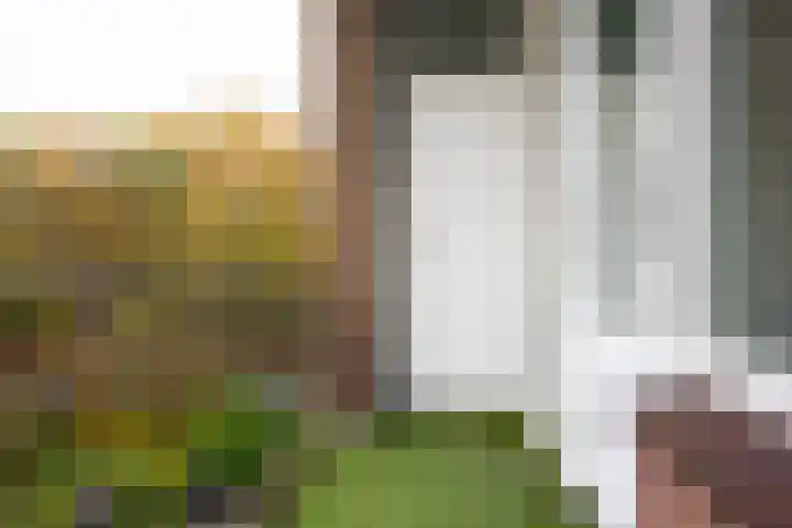 Kanunnik Mijllinckstraat 12 Nijmegen thumbnail 20