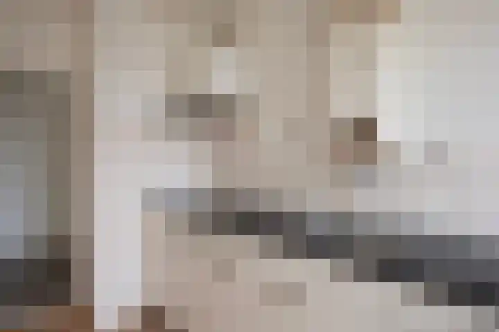 Kanunnik Mijllinckstraat 12 Nijmegen thumbnail 8