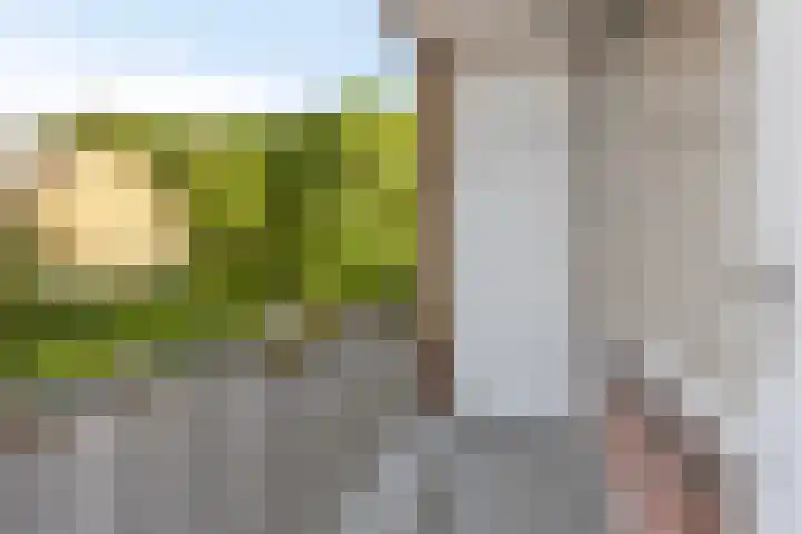 Kanunnik Mijllinckstraat 18 Nijmegen thumbnail 11
