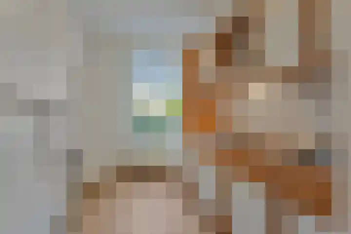 Kanunnik Mijllinckstraat 18 Nijmegen thumbnail 14