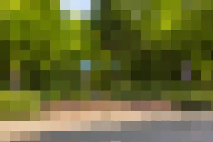 Kanunnik Mijllinckstraat 18 Nijmegen thumbnail 16