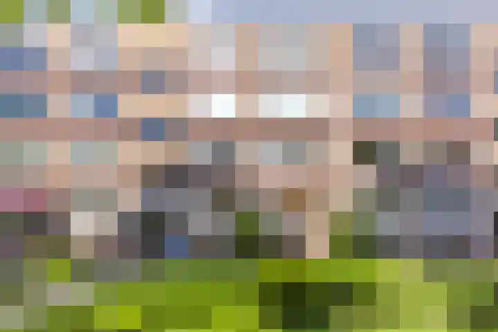 Kanunnik Mijllinckstraat 18 Nijmegen thumbnail 19