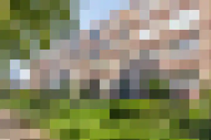 Kanunnik Mijllinckstraat 18 Nijmegen thumbnail 5