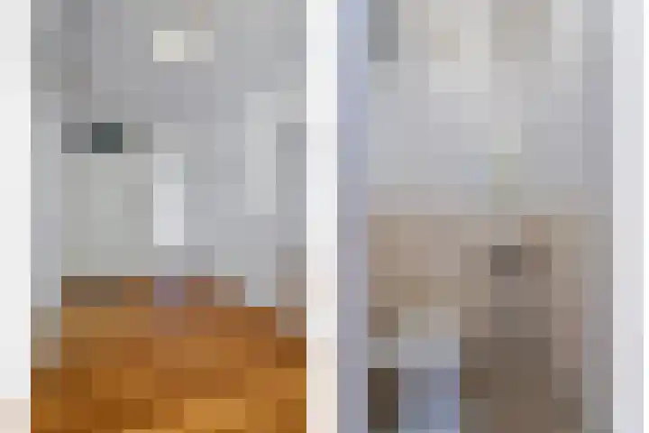 Kanunnik Mijllinckstraat 18 Nijmegen thumbnail 8