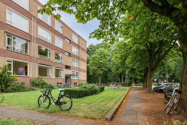 Kanunnik Mijllinckstraat 2 Nijmegen thumbnail 23