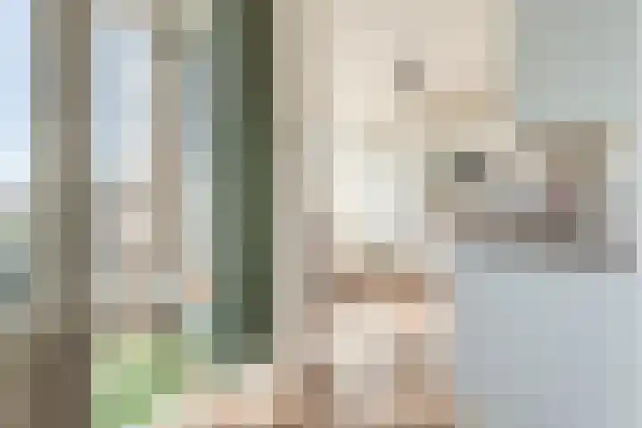 Kanunnik Mijllinckstraat 28 Nijmegen thumbnail 10