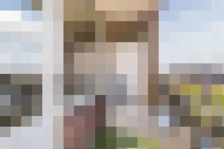 Kanunnik Mijllinckstraat 28 Nijmegen thumbnail 13
