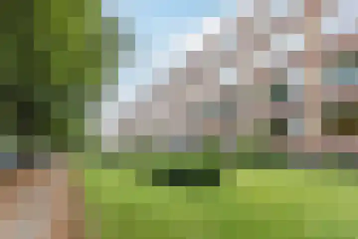 Kanunnik Mijllinckstraat 42 Nijmegen thumbnail 36