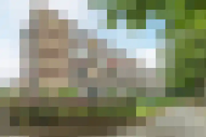 Kanunnik Mijllinckstraat 42 Nijmegen thumbnail 37