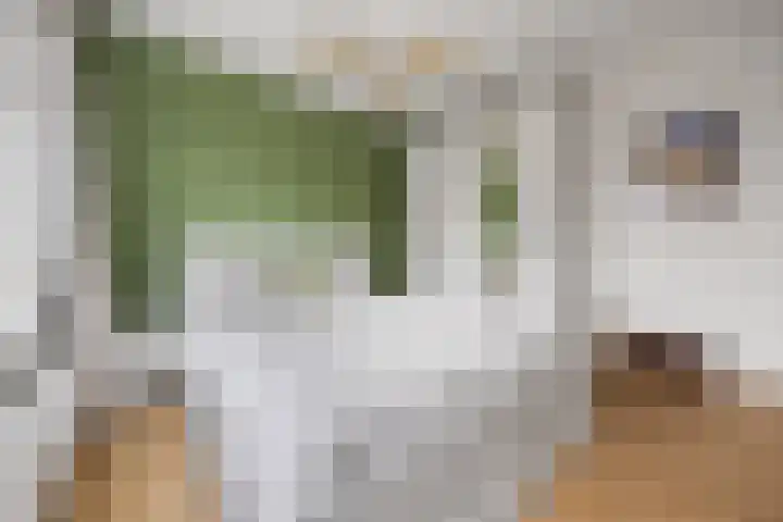 Kanunnik Mijllinckstraat 6 Nijmegen thumbnail 12