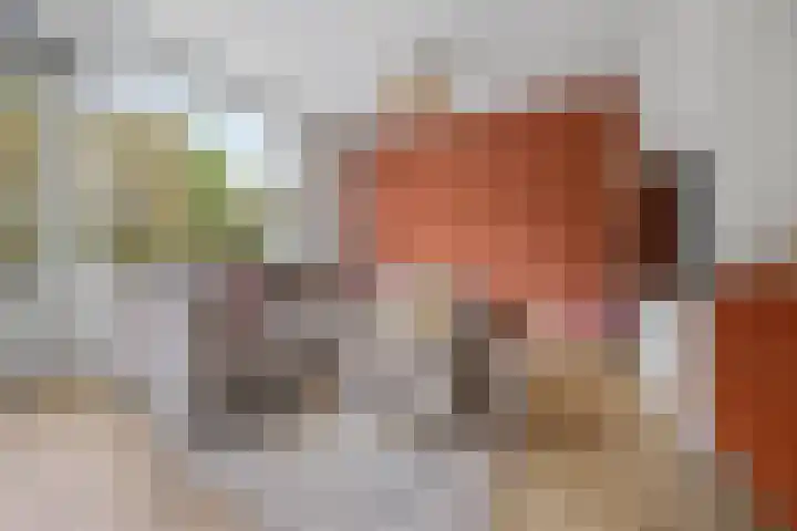 Kanunnik Mijllinckstraat 6 Nijmegen thumbnail 18