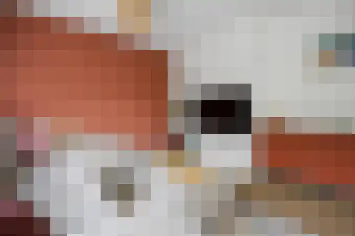 Kanunnik Mijllinckstraat 6 Nijmegen thumbnail 20