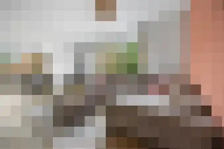 Kanunnik Mijllinckstraat 6 Nijmegen thumbnail 21