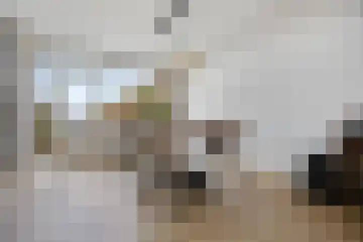 Kanunnik Mijllinckstraat 6 Nijmegen thumbnail 23