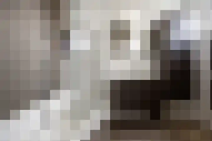 Kanunnik Mijllinckstraat 6 Nijmegen thumbnail 26