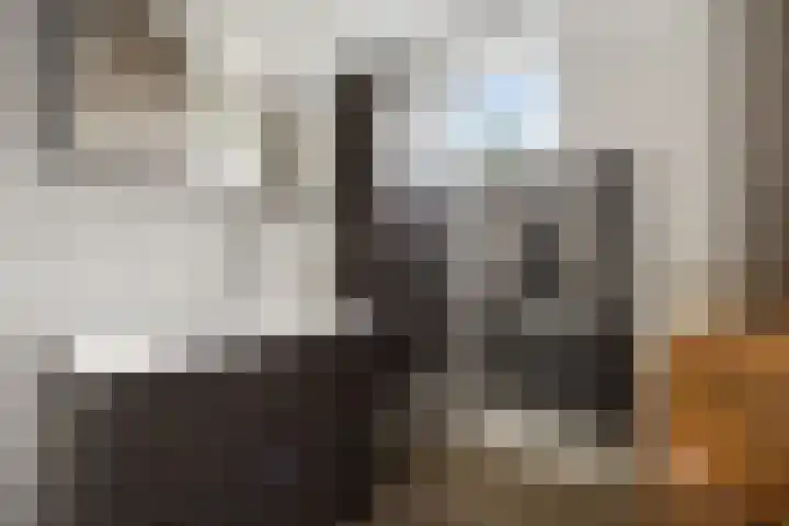 Kanunnik Mijllinckstraat 6 Nijmegen thumbnail 28