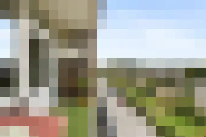 Kanunnik Mijllinckstraat 6 Nijmegen thumbnail 31