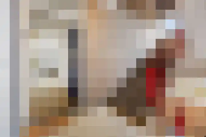 Kanunnik Mijllinckstraat 6 Nijmegen thumbnail 5