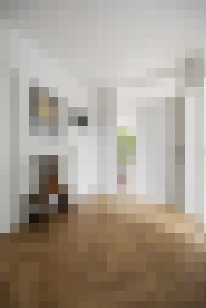 Kanunnik Mijllinckstraat 6 Nijmegen thumbnail 7
