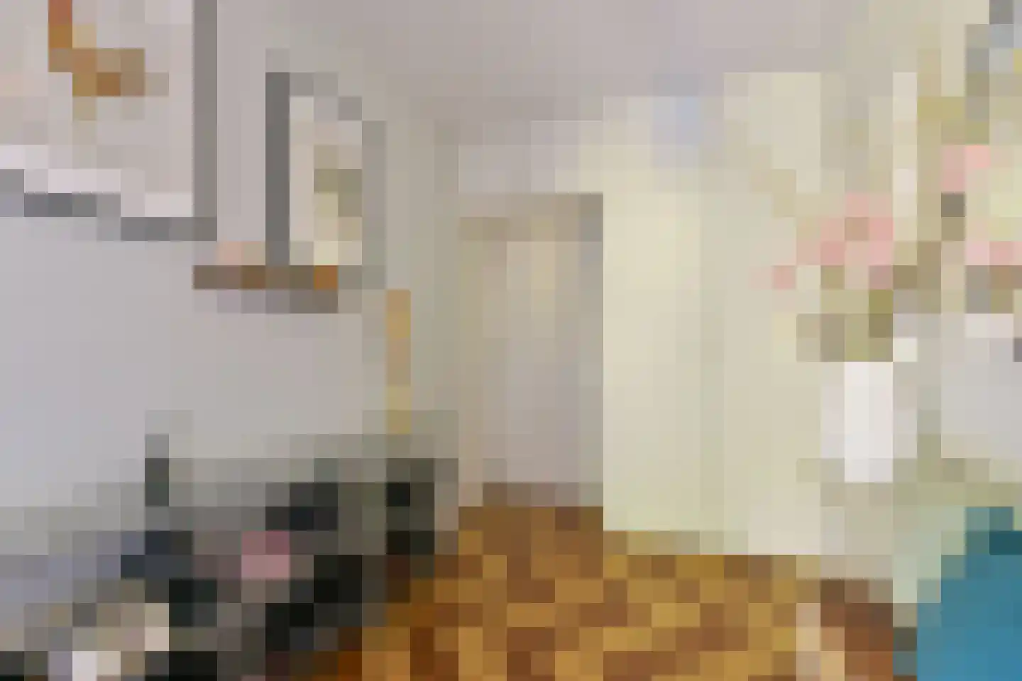 Kanunnik Mijllinckstraat 8 Nijmegen thumbnail 13