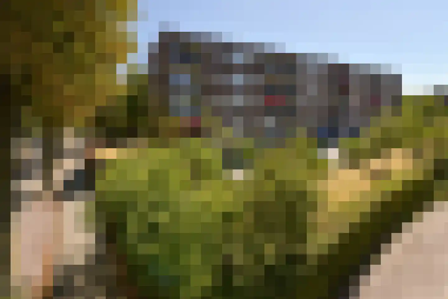 Kanunnik Mijllinckstraat 8 Nijmegen thumbnail 23