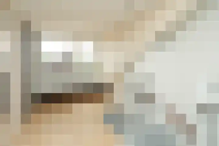 Kanunnik Pelsstraat 29 Nijmegen thumbnail 23