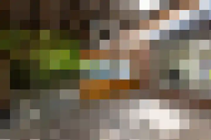 Kanunnik Terwindtstraat 18 Ulft thumbnail 19