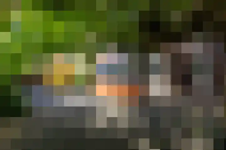Kanunnik Terwindtstraat 18 Ulft thumbnail 20