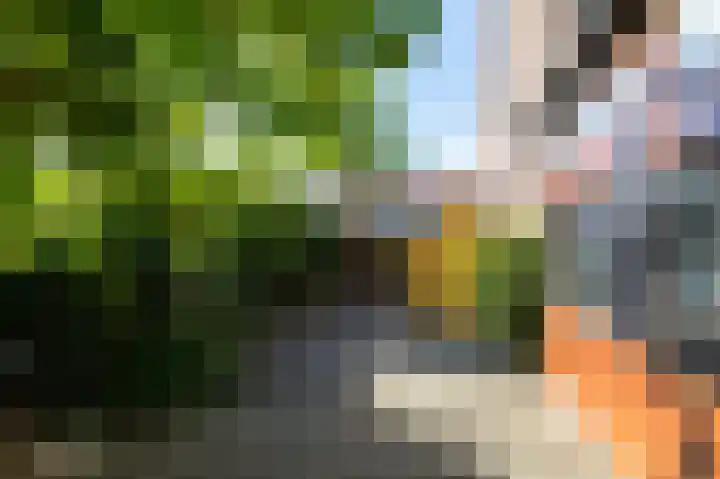 Kanunnik Terwindtstraat 18 Ulft thumbnail 21