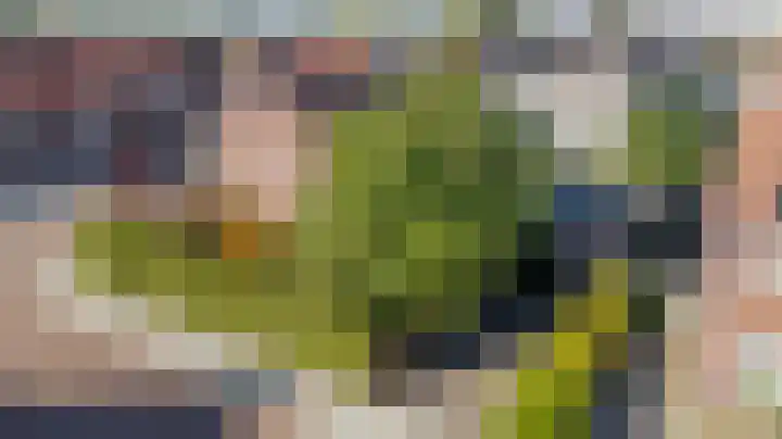 Kanunnik Terwindtstraat 18 Ulft thumbnail 4