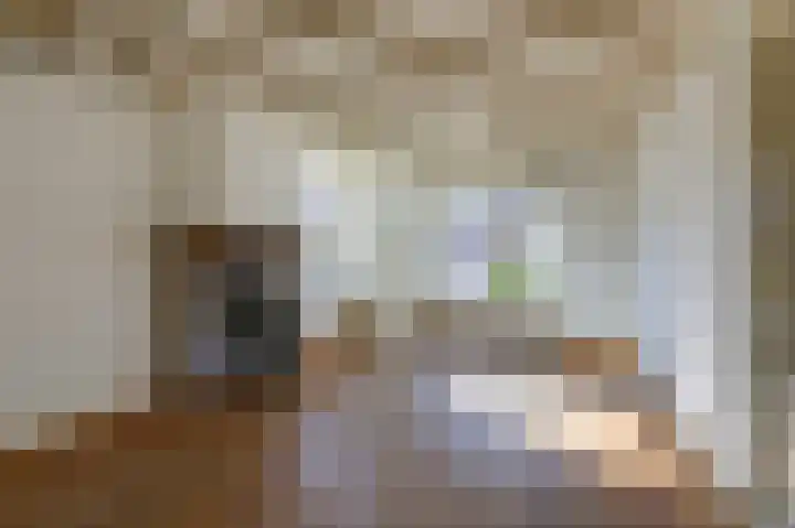 Kanunnik Terwindtstraat 18 Ulft thumbnail 8