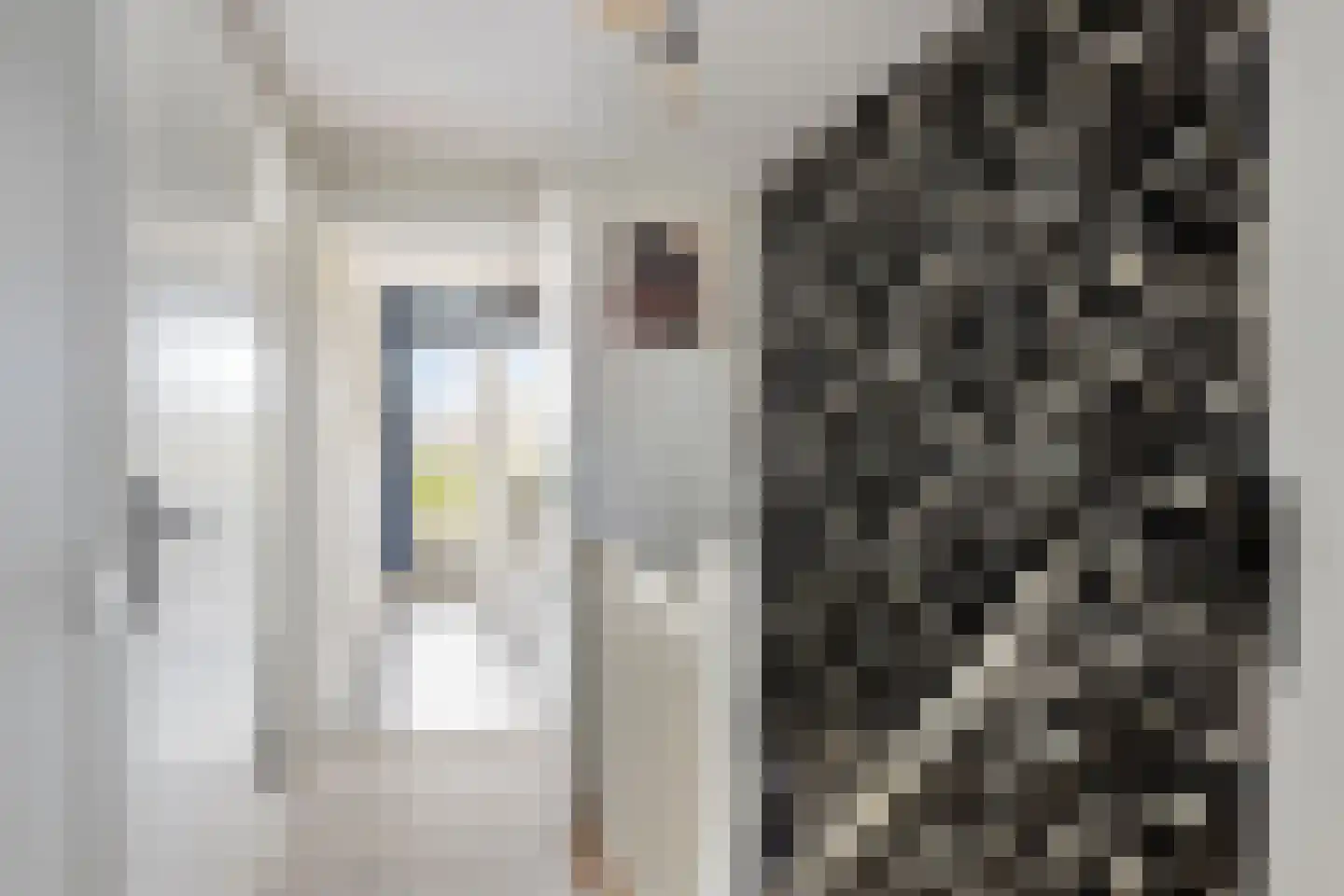 Kanunnik Terwindtstraat 24 Ulft thumbnail 11