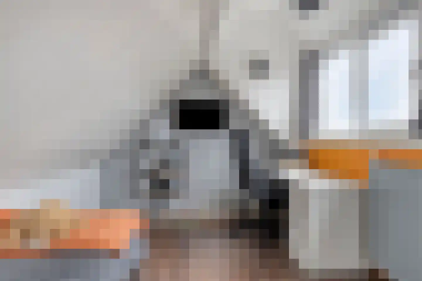 Kanunnik Terwindtstraat 24 Ulft thumbnail 19