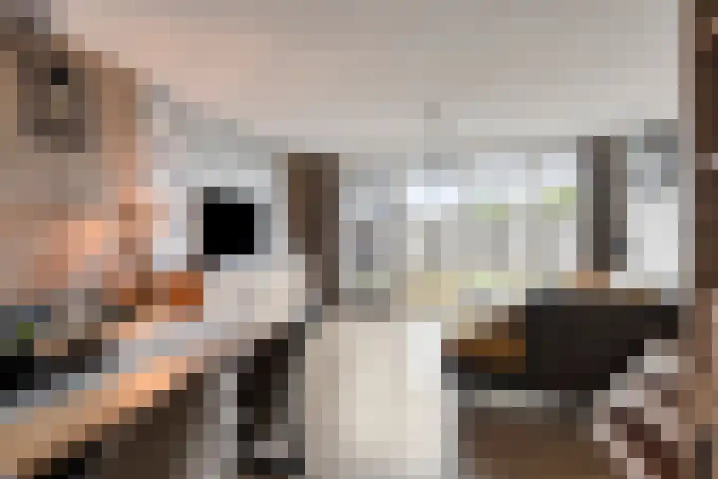 Kanunnik Terwindtstraat 24 Ulft thumbnail 4