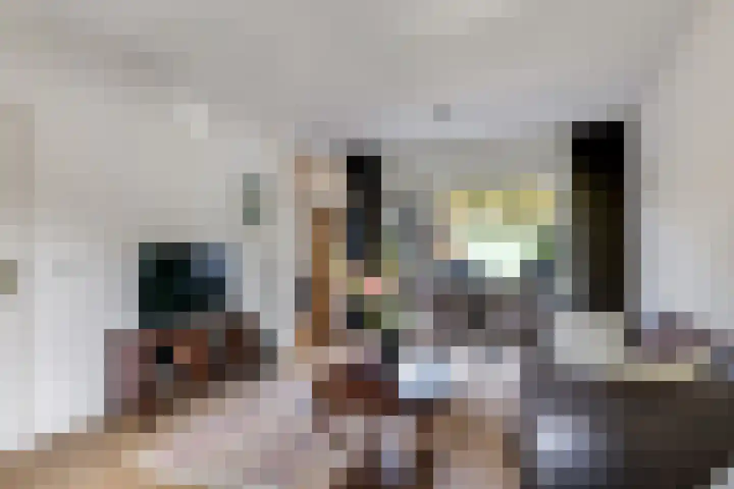 Kanunnik van de Putstraat 72 Nijmegen thumbnail 12