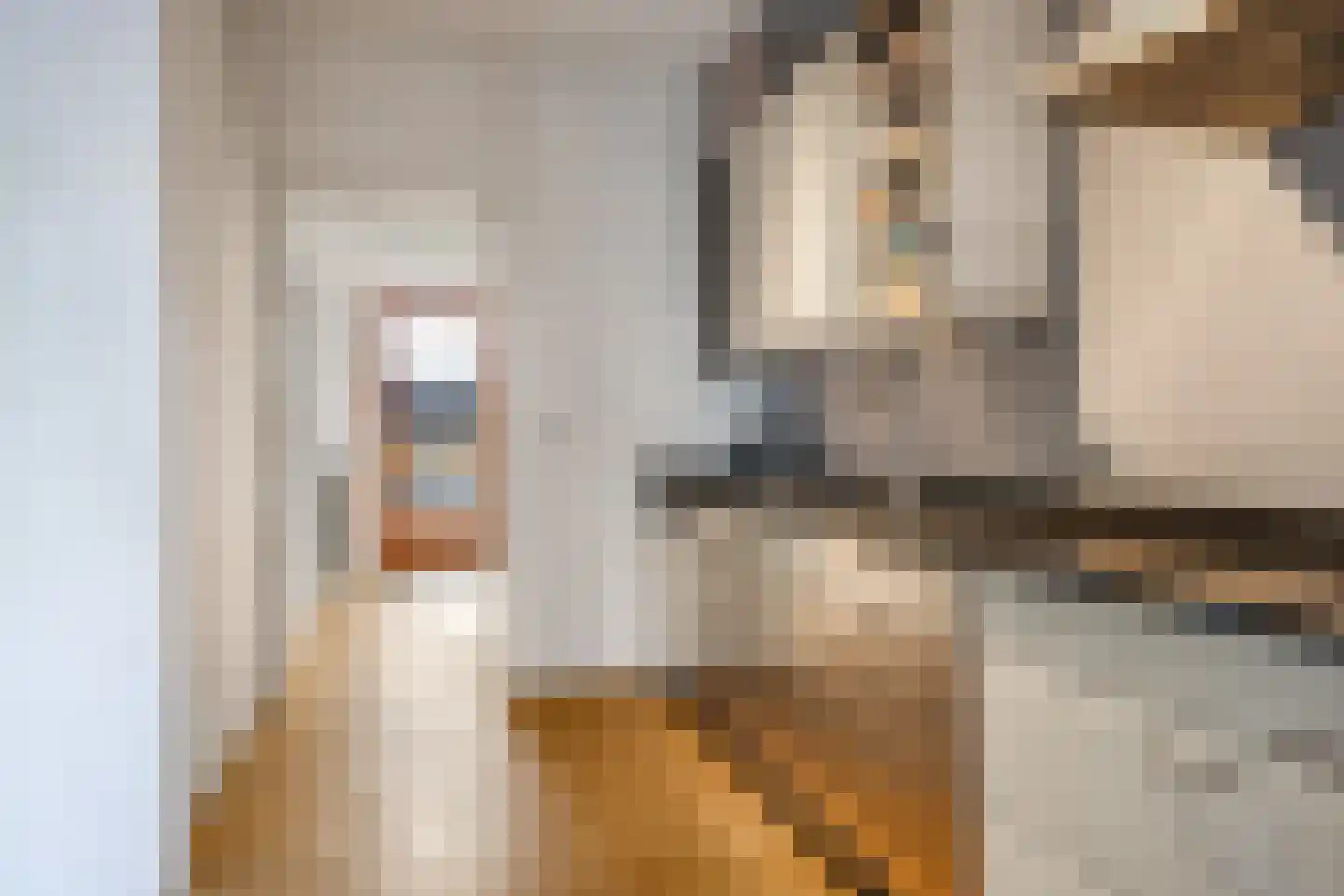 Kanunnik van de Putstraat 72 Nijmegen thumbnail 20