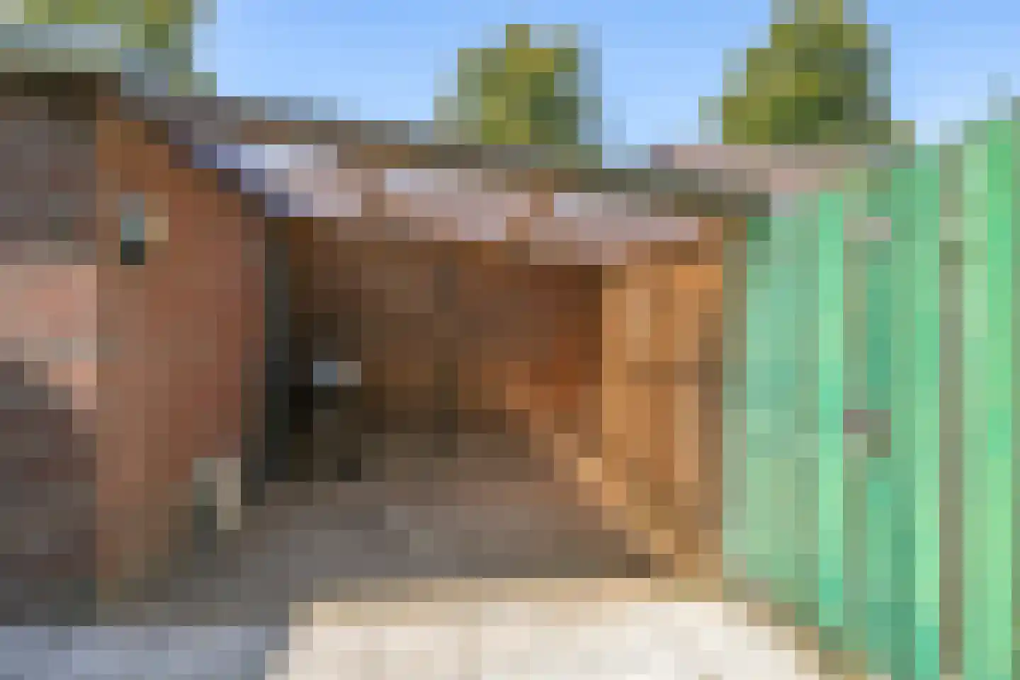 Kanunnik van de Putstraat 72 Nijmegen thumbnail 32