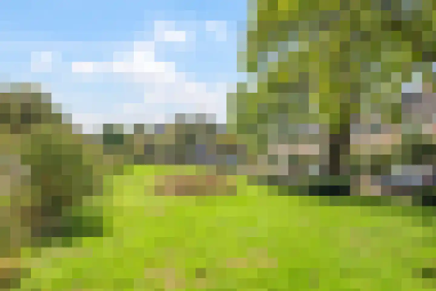 Kanunnik van de Putstraat 72 Nijmegen thumbnail 54