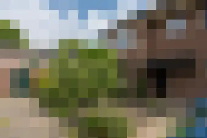 Kanunnik van Kekenstraat 1 Nijmegen thumbnail 31