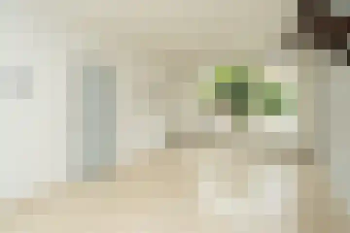 Kanunnik van Kekenstraat 1 Nijmegen thumbnail 5