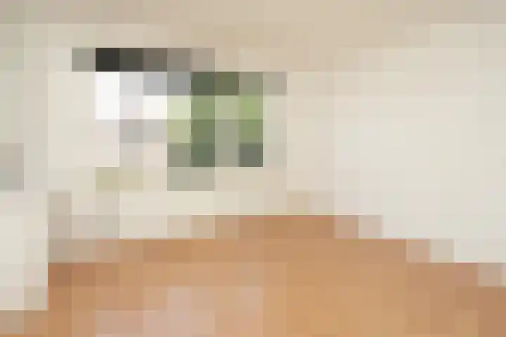 Kanunnik van Mulicomstraat 5 Nijmegen thumbnail 18
